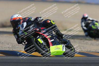 media/Feb-04-2023-SoCal Trackdays (Sat) [[8a776bf2c3]]/Turn 4 (Tree of Life 2pm)/